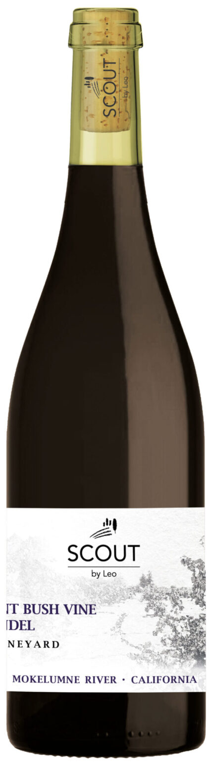 - Ancient Bush Vine Zinfandel Ling Estate Vineyard Mokelumne River Scout by Leo 2023